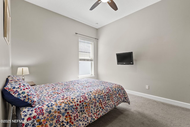 14048 Prater Ct, Jacksonville, FL 32224 - carpeted bedroom with baseboards and ceiling fan