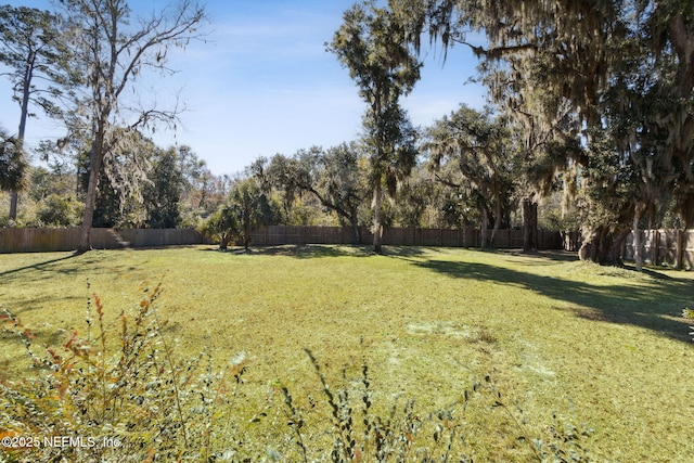97002 Jose Gaspar Way, Yulee, FL 32097 - view of yard