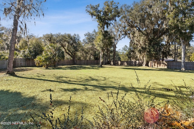 97002 Jose Gaspar Way, Yulee, FL 32097 - view of yard