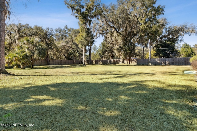 97002 Jose Gaspar Way, Yulee, FL 32097 - view of yard