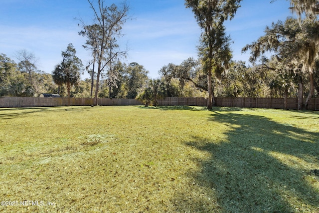 97002 Jose Gaspar Way, Yulee, FL 32097 - view of yard