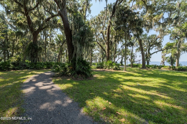 275 Kellet Way, Saint Johns, FL 32259 - view of grassy yard