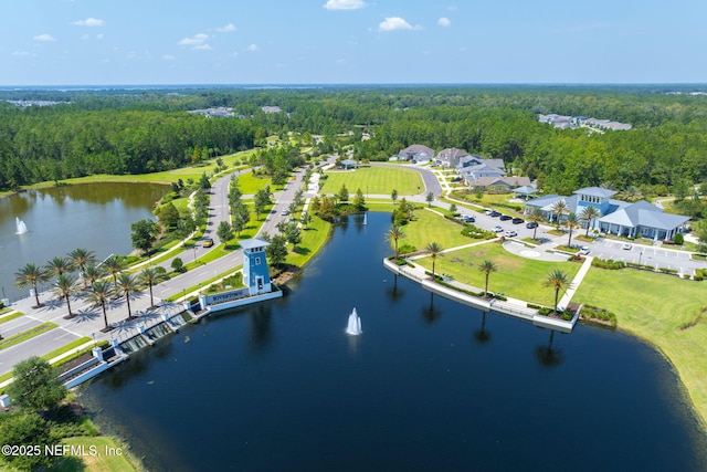 275 Kellet Way, Saint Johns, FL 32259 - bird's eye view of a heavily wooded area and a large body of water