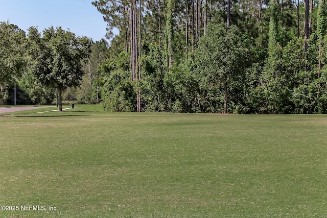 219 Heron Landing Rd, Saint Johns, FL 32259 - view of property's community featuring a lawn