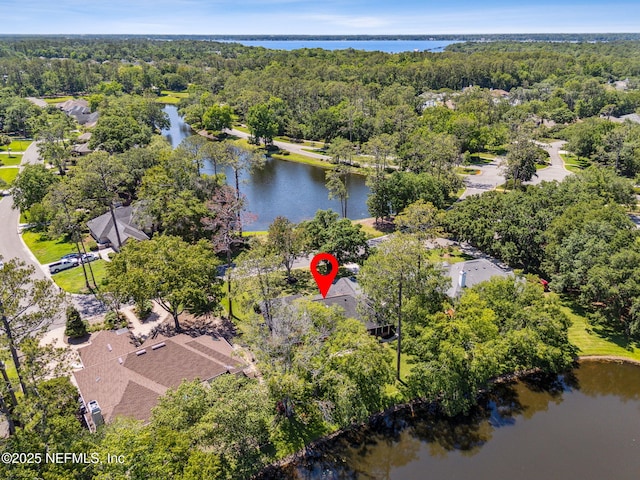 1553 Royal Fern Ln, Fleming Island, FL 32003 - aerial view of a heavily wooded area and a large body of water