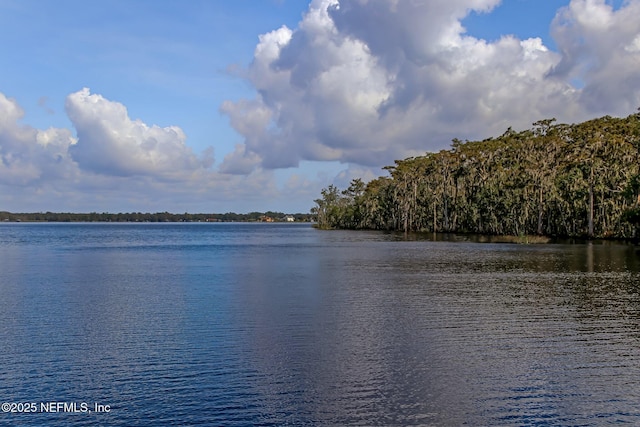 1553 Royal Fern Ln, Fleming Island, FL 32003 - water view