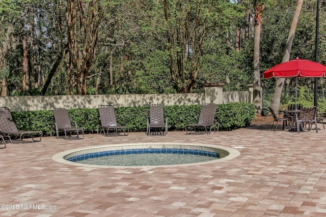 1553 Royal Fern Ln, Fleming Island, FL 32003 - view of pool featuring a swimming pool and a patio area