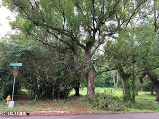 5264 Cleveland Rd, Jacksonville, FL 32209 - photo 4