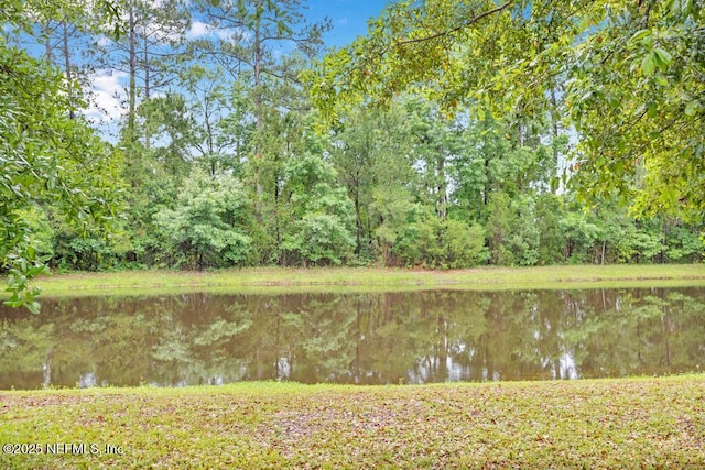 12283 Cardinal Creek Dr, Jacksonville, FL 32218 - photo 44