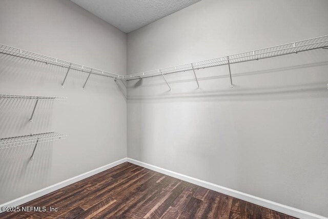 12283 Cardinal Creek Dr, Jacksonville, FL 32218 - photo 35