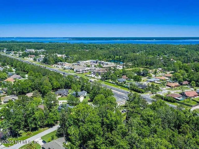 1734 Alps Ct, Fleming Island, FL 32003 - view of property location with a large body of water and nearby suburban area