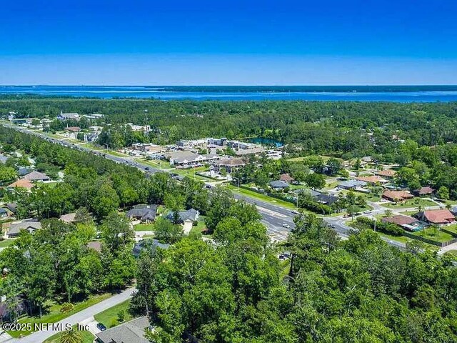 1734 Alps Ct, Fleming Island, FL 32003 - photo 46