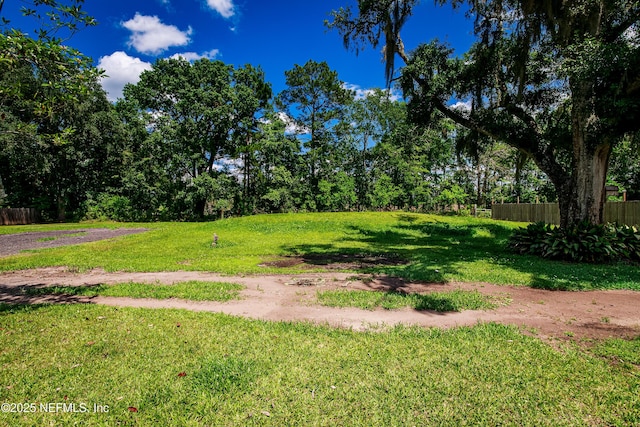 54038 Charles St, Callahan, FL 32011 - view of yard