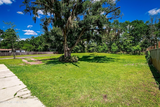 54038 Charles St, Callahan, FL 32011 - view of yard