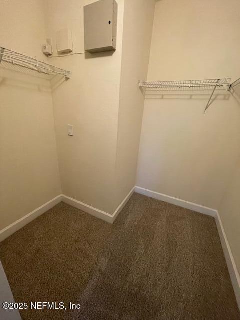 9745 Touchton Rd Unit 2522, Jacksonville, FL 32246 - walk in closet with carpet flooring