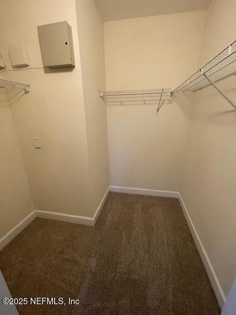 9745 Touchton Rd Unit 2522, Jacksonville, FL 32246 - walk in closet with carpet