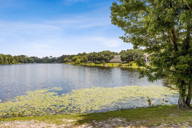 31135 Paradise Cmns Unit 628, Fernandina Beach, FL 32034 - photo 14