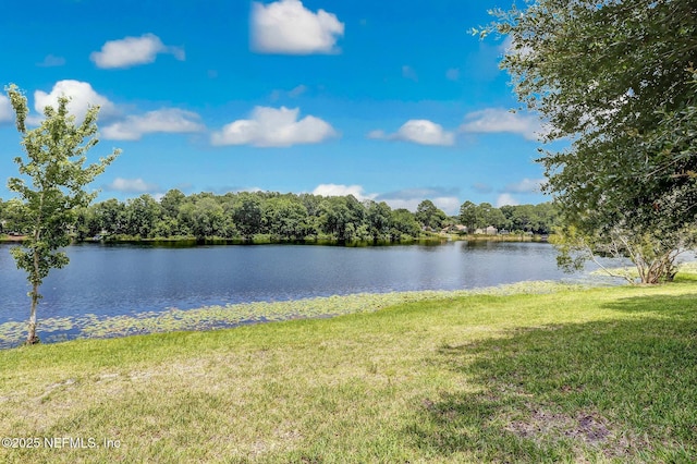 31135 Paradise Cmns Unit 628, Fernandina Beach, FL 32034 - photo 72