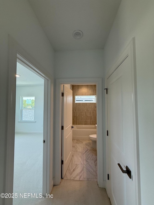 34 Mulberry Rd, Palm Coast, FL 32164 - photo 55