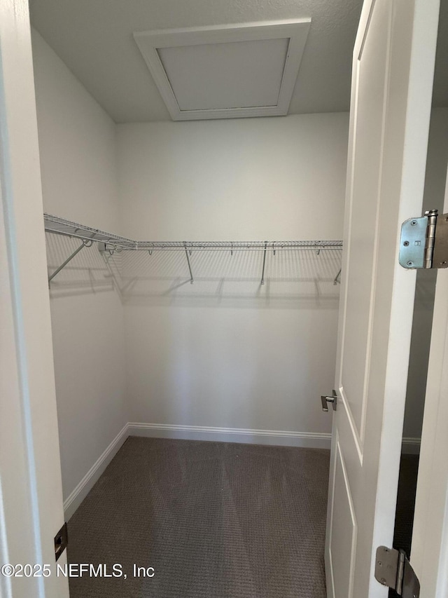 38 Mulberry Rd, Palm Coast, FL 32164 - spacious closet featuring carpet floors