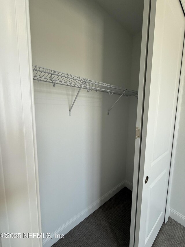 38 Mulberry Rd, Palm Coast, FL 32164 - view of closet