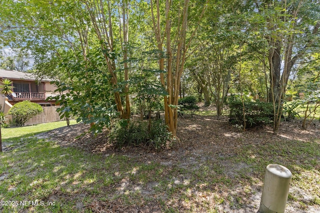 347 Greencastle Rd Unit 46, Jacksonville, FL 32225 - view of yard