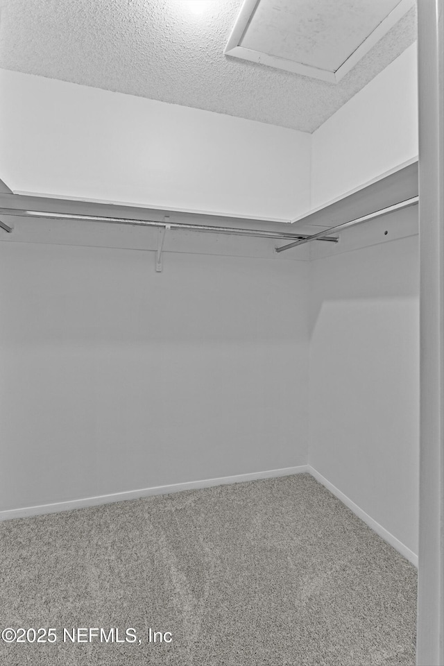 347 Greencastle Rd Unit 46, Jacksonville, FL 32225 - spacious closet with carpet flooring