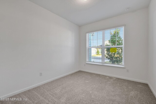 493 Cherry Elm Dr, Saint Augustine, FL 32092 - photo 32