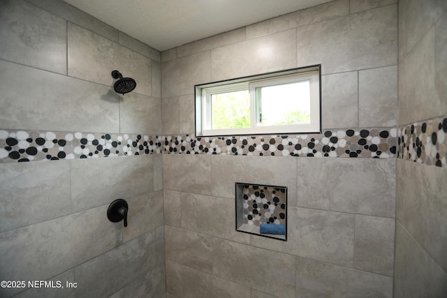 1207 Neva St, Jacksonville, FL 32205 - bathroom view of tiled shower