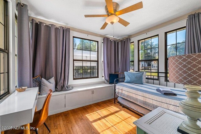 1724 Orlando Cir N, Jacksonville, FL 32207 - bedroom with multiple windows, light wood-style flooring, and a ceiling fan