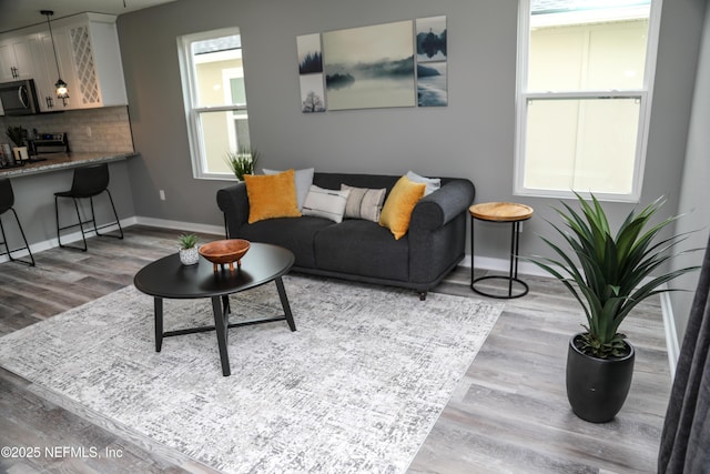 1205 Neva St, Jacksonville, FL 32205 - living room with baseboards, plenty of natural light, and wood finished floors