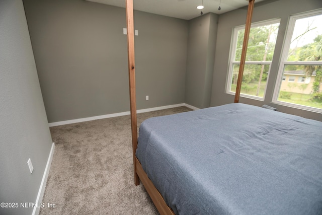1205 Neva St, Jacksonville, FL 32205 - bedroom with carpet, multiple windows, and baseboards