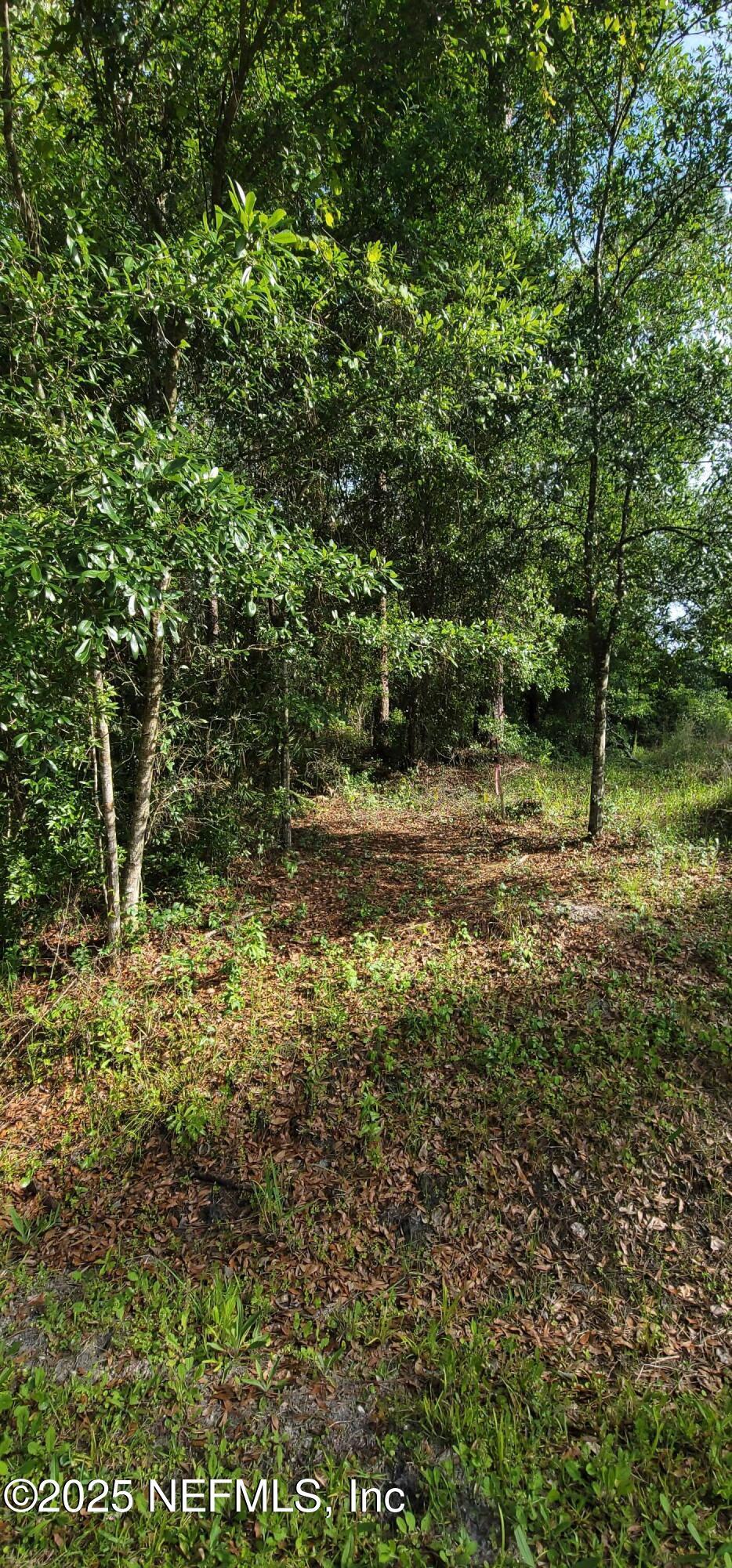 0 Maryland Ave, Jacksonville, FL 32234 - photo 3