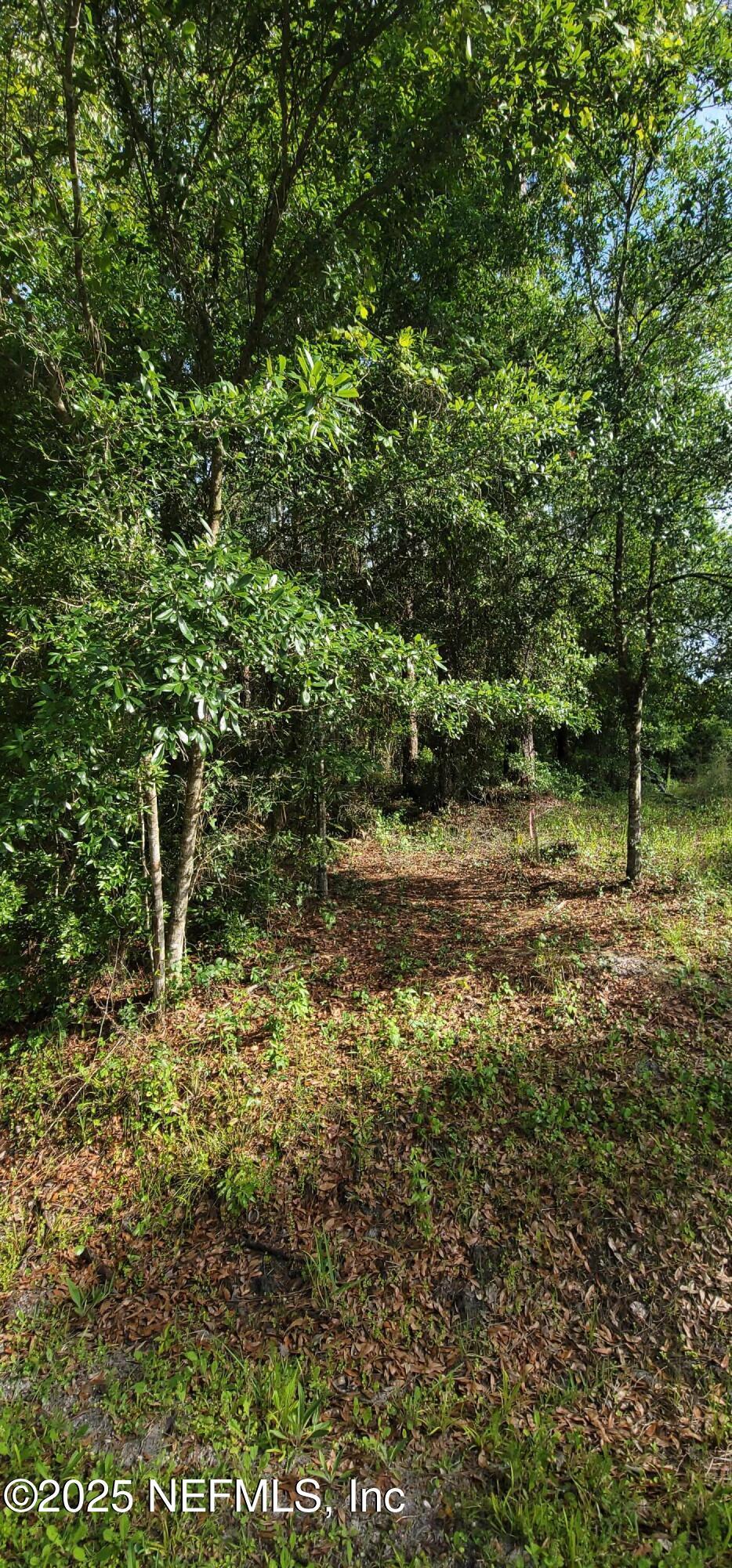 0 Maryland Ave, Jacksonville, FL 32234 - photo 4