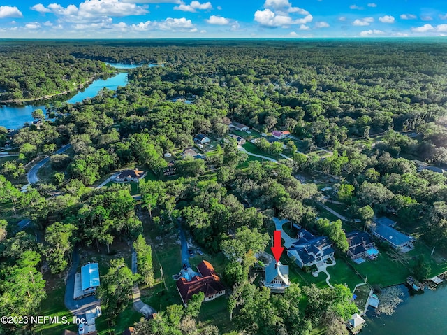 1099 Lake Asbury Dr, Green Cove Springs, FL 32043 - photo 70