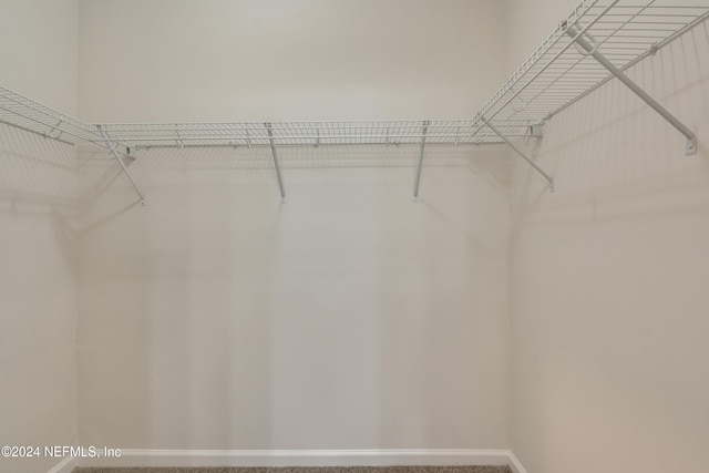 1701 Wood Hill Pl Unit 1701, Jacksonville, FL 32256 - view of walk in closet