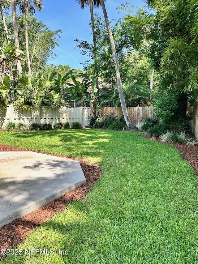view of yard