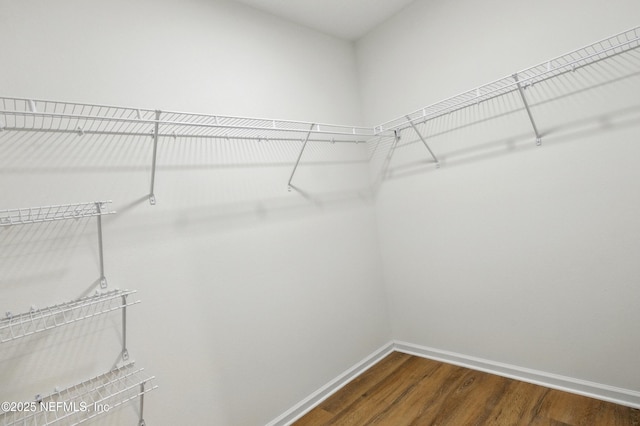 323 Rustic Rd, Satsuma, FL 32189 - spacious closet featuring dark wood finished floors