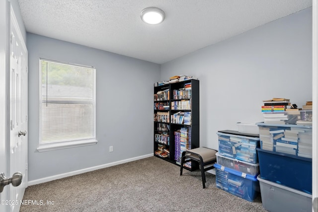 1961 Spring Drive Rd, Jacksonville, FL 32209 - office area featuring carpet floors, baseboards, and a textured ceiling