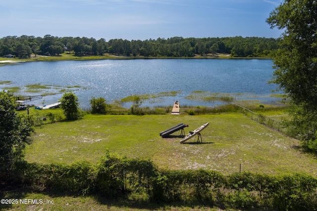 7480 Paradise Lake Dr, Keystone Heights, FL 32656 - photo 38