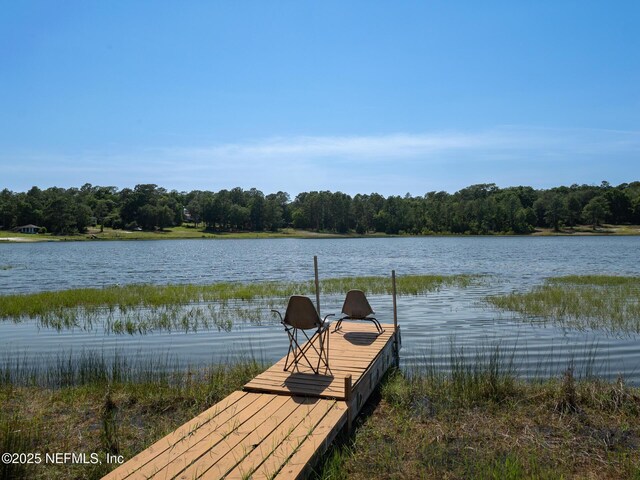 7480 Paradise Lake Dr, Keystone Heights, FL 32656 - photo 39