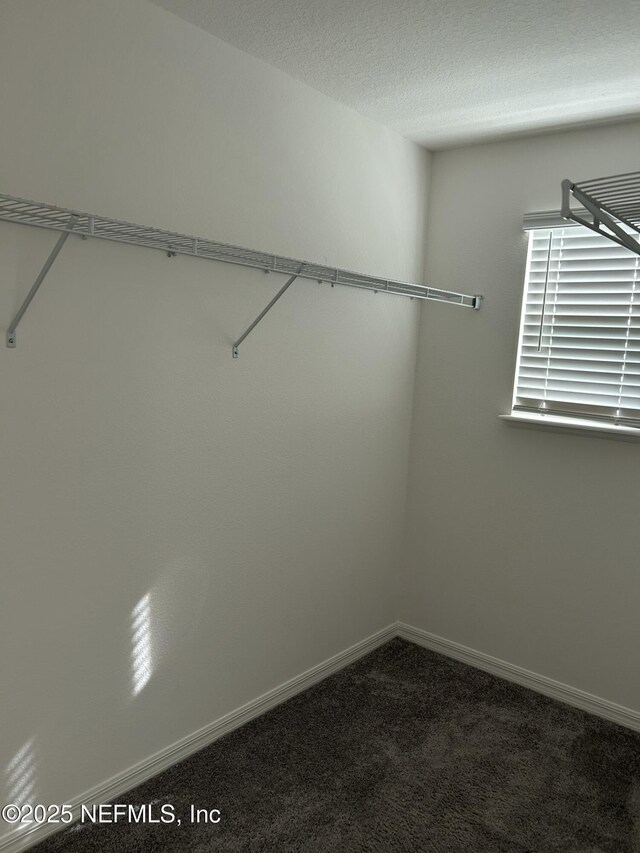 3364 Penny Cove Ln, Jacksonville, FL 32218 - photo 14
