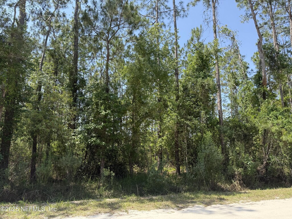 109 White Pine Ln, Georgetown, FL 32139 - photo 1