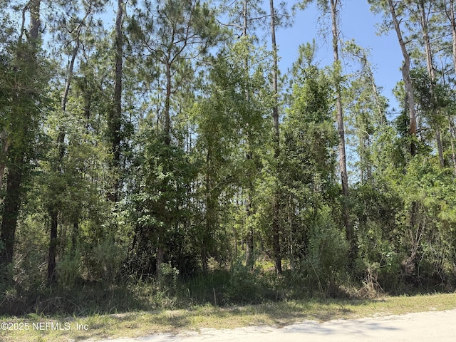 109 White Pine Ln, Georgetown, FL 32139 - photo 1