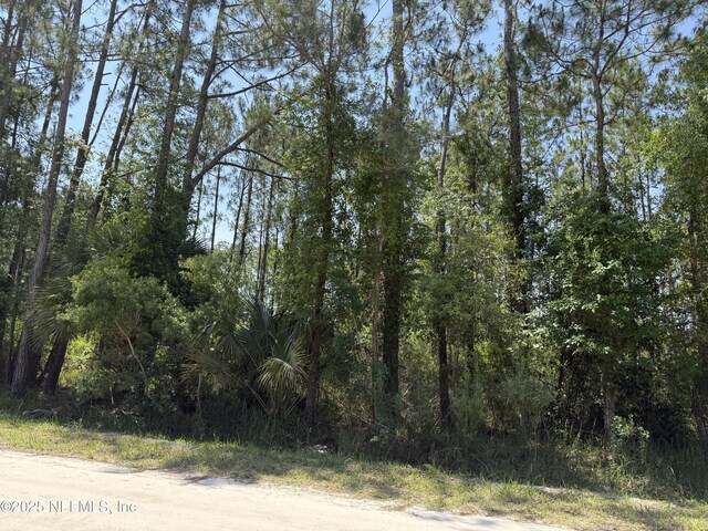 109 White Pine Ln, Georgetown, FL 32139 - photo 2