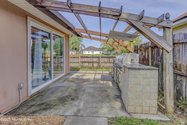 1695 Northglen Cir, Middleburg, FL 32068 - view of patio / terrace with area for grilling