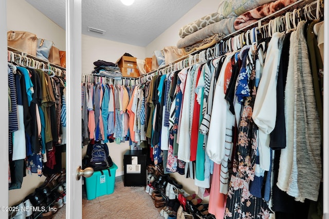 137 Codman Dr, Saint Augustine, FL 32084 - spacious closet featuring carpet flooring