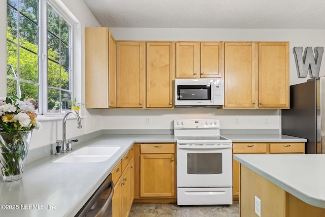 864 Collinswood Dr W, Jacksonville, FL 32225 - kitchen featuring appliances with stainless steel finishes, light countertops, plenty of natural light, and a sink