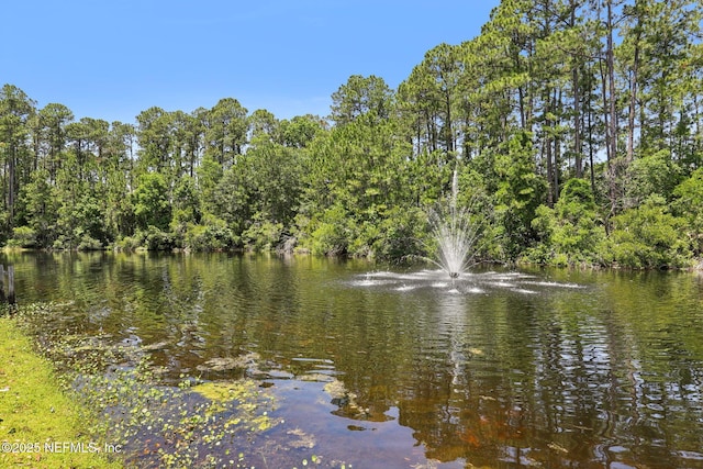 864 Collinswood Dr W, Jacksonville, FL 32225 - water view