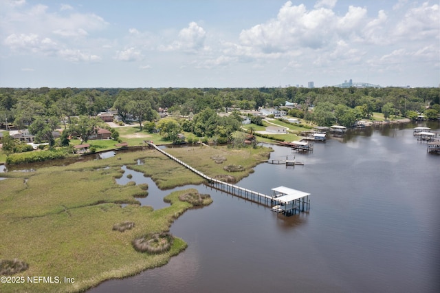 6221 Kellow Dr, Jacksonville, FL 32216 - photo 4